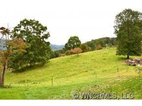 Back Yard View