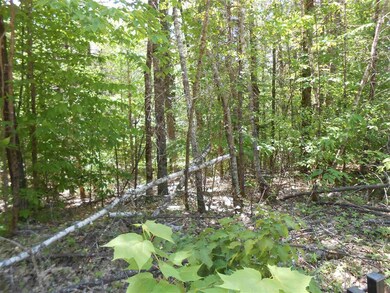 0 Granite Rd unit 4760871, Effingham, NH 03882 - photo 4