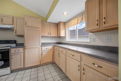 519 Galway Dr unit 10A, O Fallon, MO 63366 - photo 7