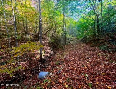 0 Manning Hollow Rd unit 1311320, Sevierville, TN 37876 - photo 7