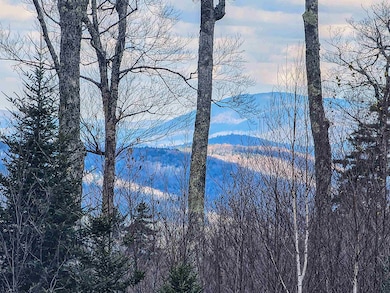 706 Vt Route 100, Stratton, VT 05360 - photo 2