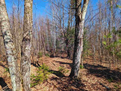 0 Valley Vista Rd unit 5000773, Sugar Hill, NH 03586 - photo 7