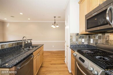 10241 Brighton Ridge Way, Columbia, MD 21044 - photo 6