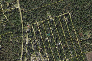 0 Choctaw Rd unit 392886, Crawfordville, FL 32327 - photo 2