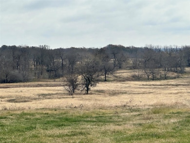 Lot 3 Chandler Dr, Eureka, TX 75109 - photo 4