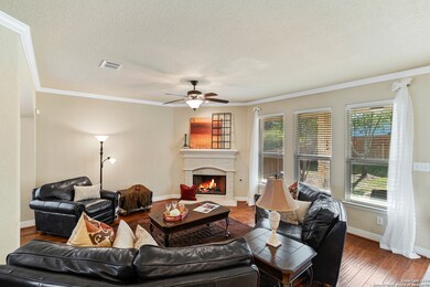 3838 Sweet Olive, San Antonio, TX 78261 - photo 4