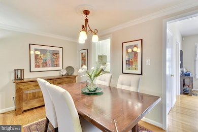 3542 Hamlet Place, Chevy Chase, MD 20815 - photo 7