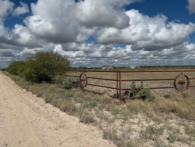 440 Norte Rd unit LOT 3 BLK 10 COLORAD, Laredo, TX 78044 - photo 3