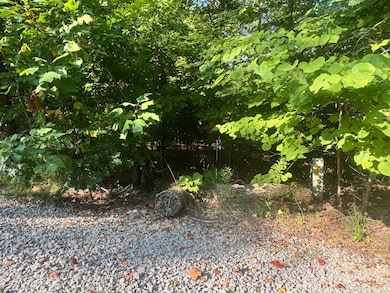 617 N Pointe Trail, Allons, TN 38541 - photo 5