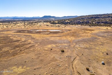 Show Low Pines Unit 5 Lot 320 -- unit 320, Concho, AZ 85924 - photo 2