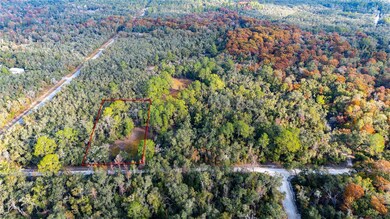 0 Rose Bloom Lot 7 Ave unit MFRTB8450296, Webster, FL 33597 - photo 2