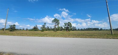 13014 Emerald Rd, Meadows and Villas, FL 33946 - photo 5