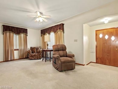 224 Harvey St, Struthers, OH 44471 - photo 6