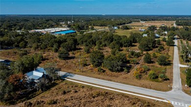 0 County Road 760a unit MFRA4673399, Arcadia, FL 34266 - photo 3
