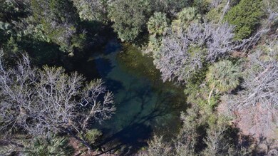 Aerial Spring view