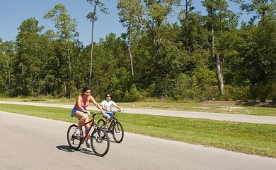 4119 Flagstone Pine Ln, Spring, TX 77386 - photo 6