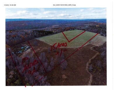 212-A Hill Rd, Danby, NY 14001 - photo 5