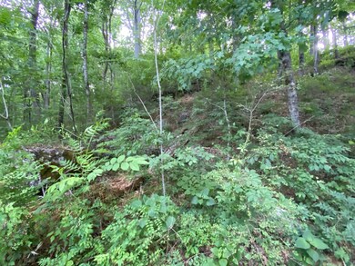 397 New Herman Rd, Shelbyville, TN 37160 - photo 6