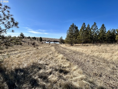 unlisted-address, Weston, OR 97886 - photo 6