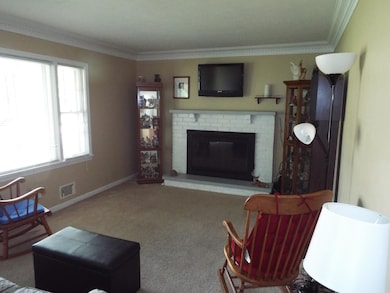 Wood burning fireplace