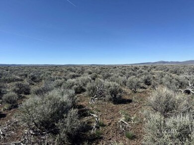 10 Acres Plush