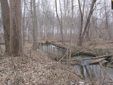 Spring Creek