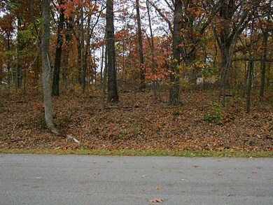 L74 Maltby Ln, Bella Vista, AR 72715 - photo 2