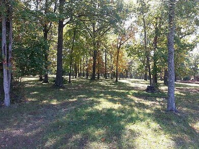 0 Little Aunts Creek Rd, Kimberling City, MO 65686 - photo 5