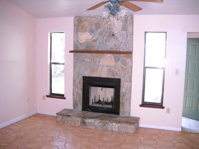 Wood Burning Fireplace View