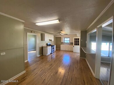 1705 Julia St, New Iberia, LA 70560 - photo 2