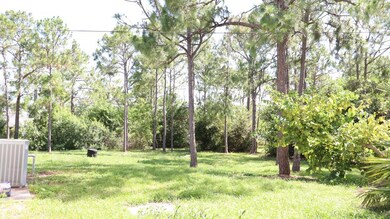SIDE YARD (EAST)