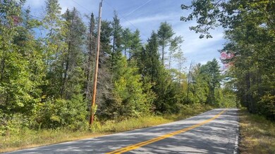 TBD Wakefield Rd, Newfield, ME 04095 - photo 6