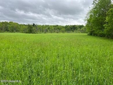 L1.12 Carlisle Rd, Canajoharie, NY 13317 - photo 4