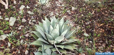 72x Joseph Blane Rd, Silver City, NM 88061 - photo 7