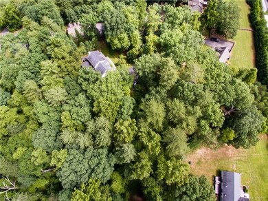 15 Carter Hill Dr, Leicester, NC 28748 - photo 4