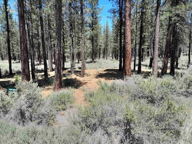 202 Village Trail unit Roark Lot 036, Portola, CA 96122 - photo 2