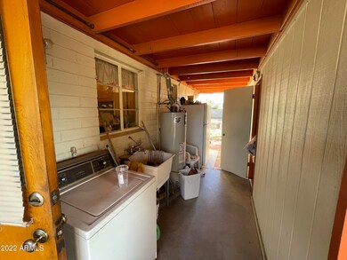 IMG-6372 (1)