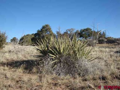 0 Road 23 unit 663918, Cortez, CO 81321 - photo 2