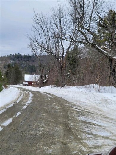 165 Williams Rd unit 65, Littleton, NH 03561 - photo 6