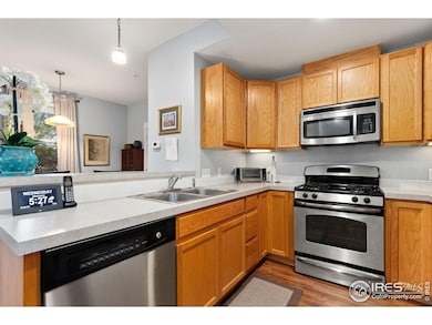 237 Cardinal Way, Longmont, CO 80501 - photo 6