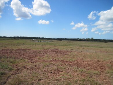 308 County Road 416, Brazoria, TX 77422 - photo 3