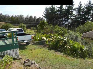 387 Upper Kimo Dr, Kula, HI 96790 - photo 4