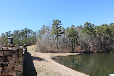 51 Bells Ln unit 51, Vincent, AL 35178 - photo 6