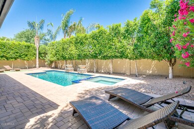 Backyard Oasis