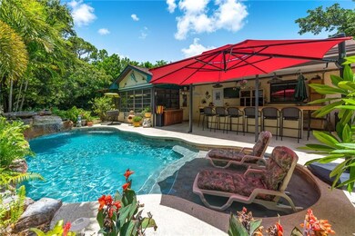 tropical backyard