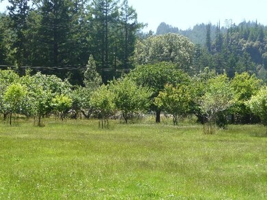 pasture