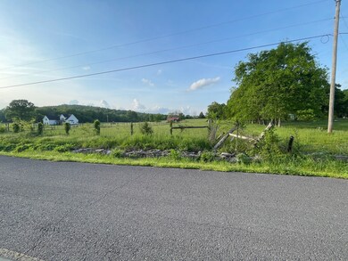 12297 Elrod McElroy Rd, Milton, TN 37118 - photo 5