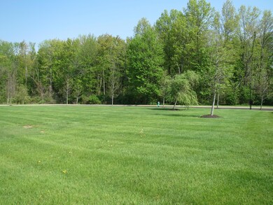 Wooded views