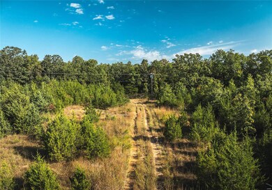 20 Acres Old Highway 66, Rolla, MO 65401 - photo 4