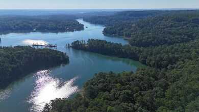DJI_20240711082501_0067_D